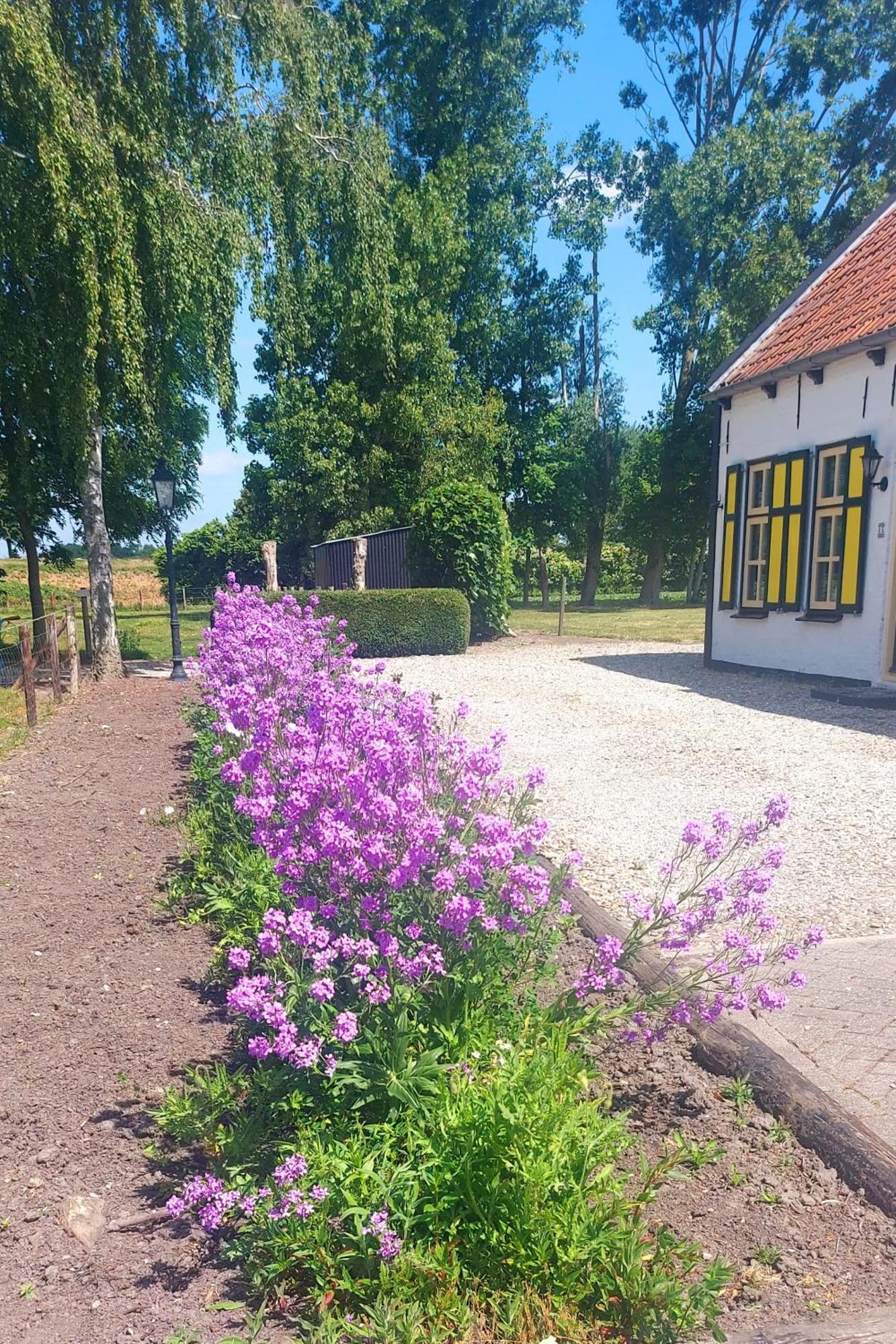 Apartament De Nieuwe Stal Scherpenisse Zewnętrze zdjęcie